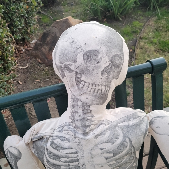 New John Derian XL Skeleton pillow home decor goth Gothic apothecary skull - Picture 5 of 10